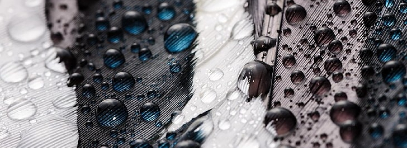Macro feathers water drops wallpaper preview