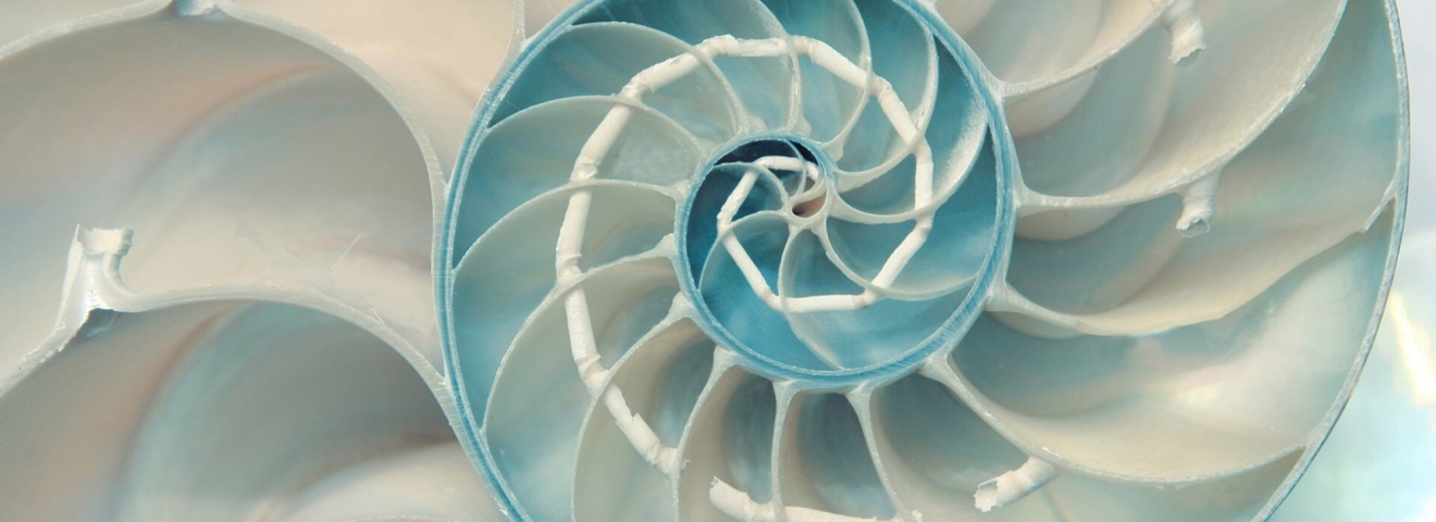 Biomimicry by design
