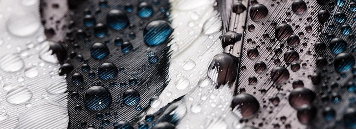 Macro feathers water drops wallpaper preview