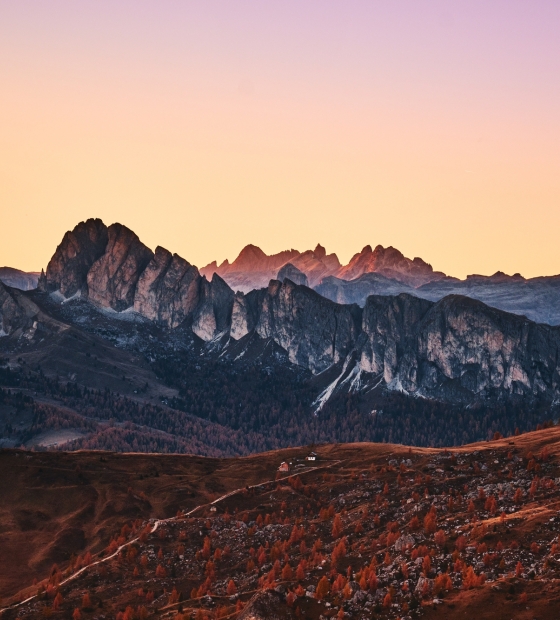 Luca bravo 415111 unsplash